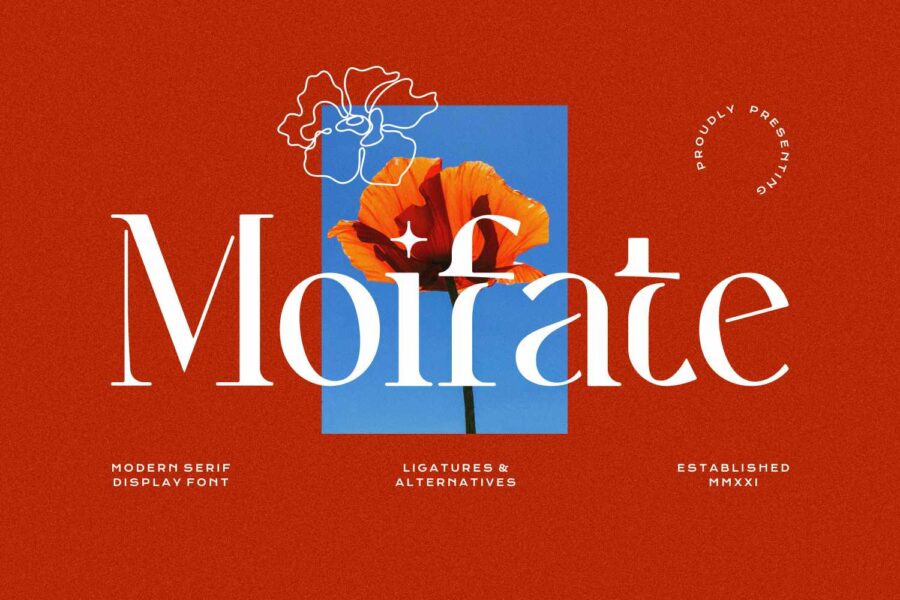 Moifate - Image 1