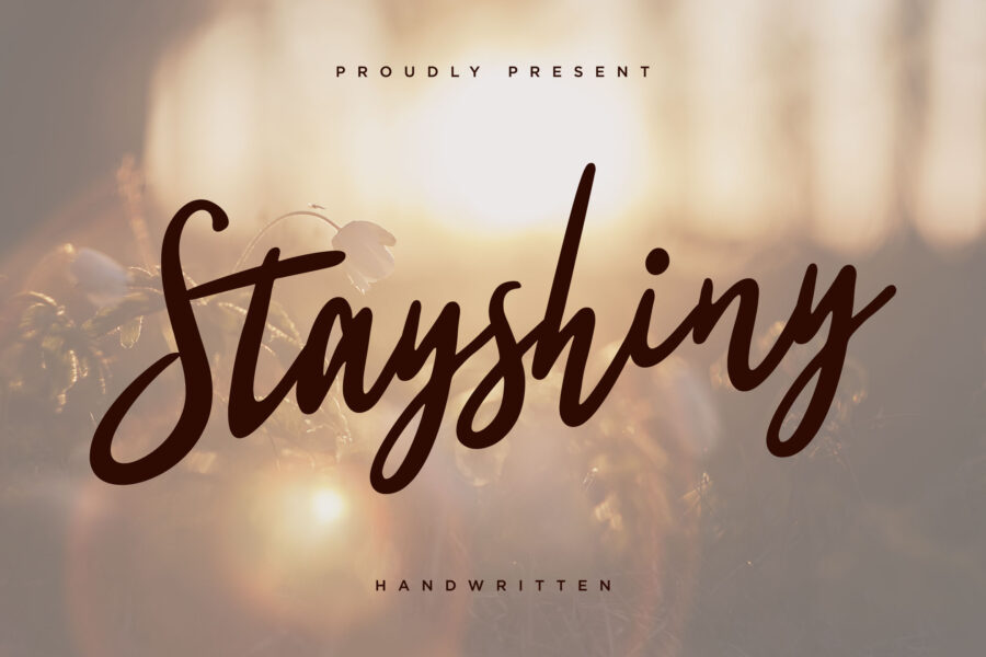Stayshiny - Image 1