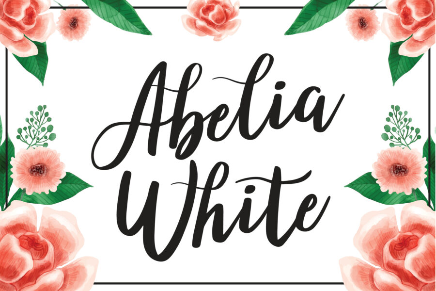 Abelia White - Image 1