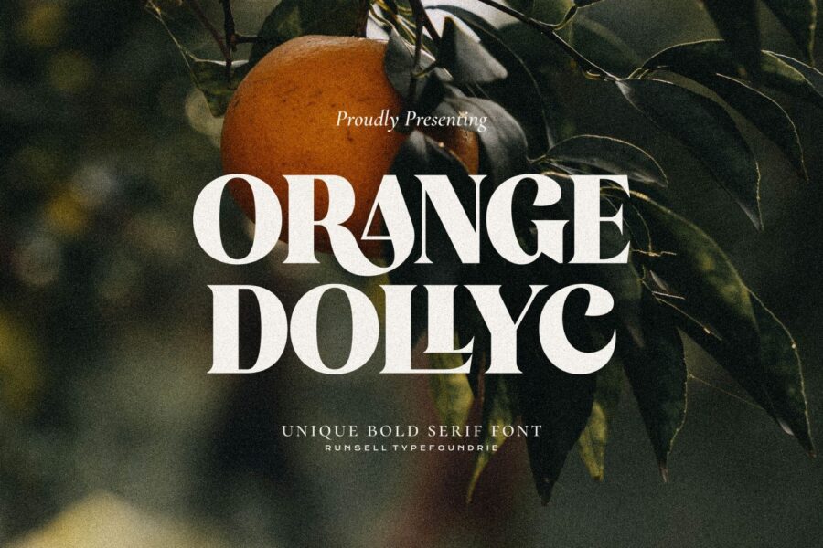 Oranges Dollyc - Image 1