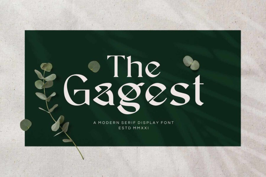 The Gagest - Image 1