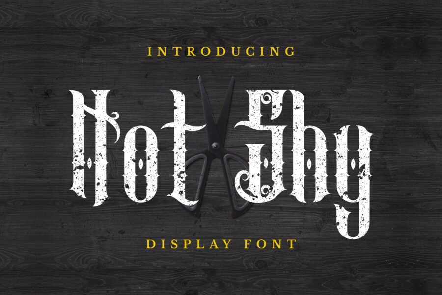 NotShy - Image 1