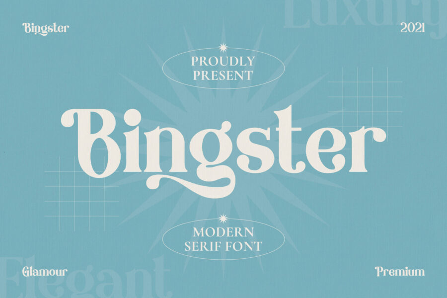 Bingster - Image 1