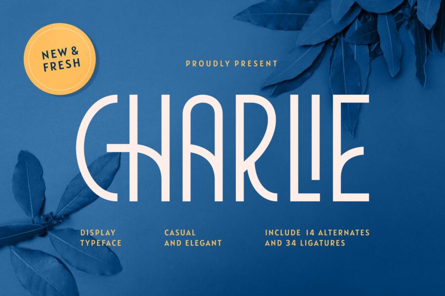 Charlie - Image 1