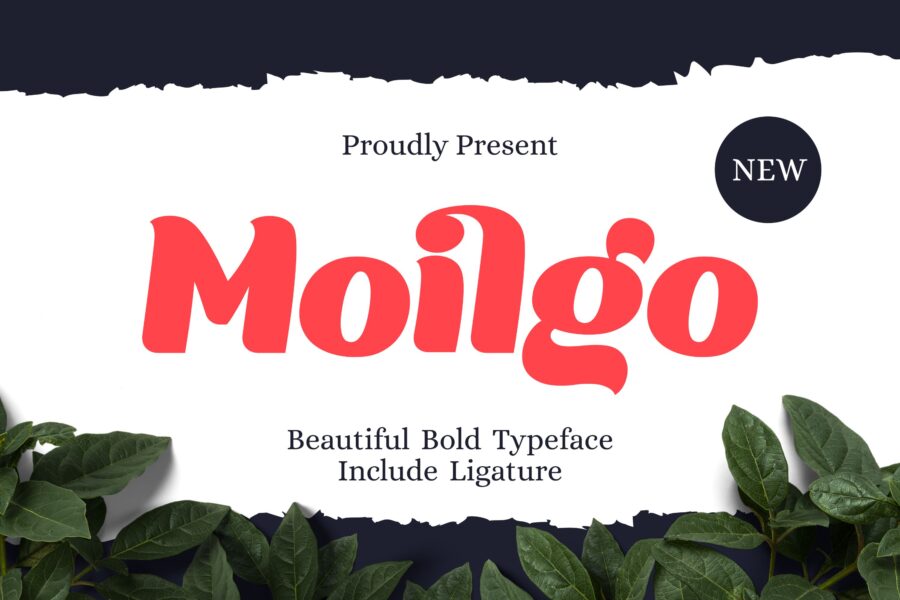Moilgo - Image 1