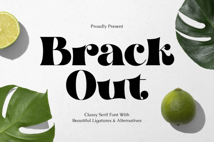 Brack Out - Image 1