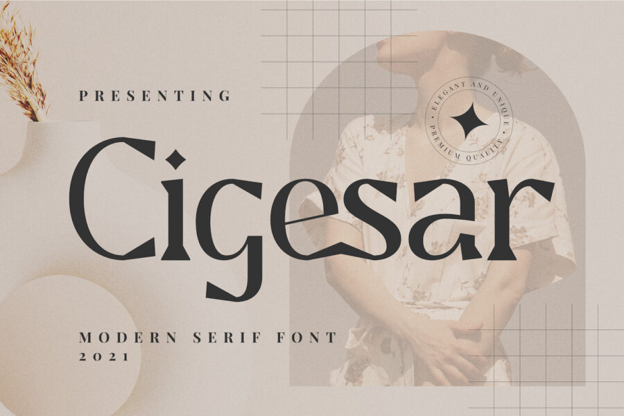 Cigesar - Image 1
