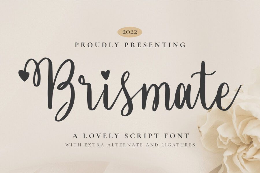 Brismate - Image 1
