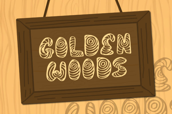 In The Woods - Image 2