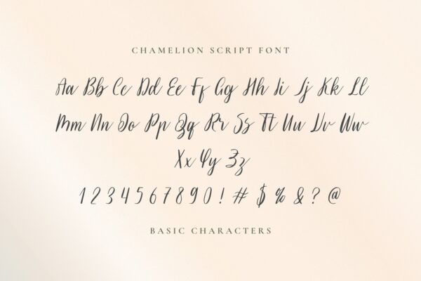 Chamelion - Image 5
