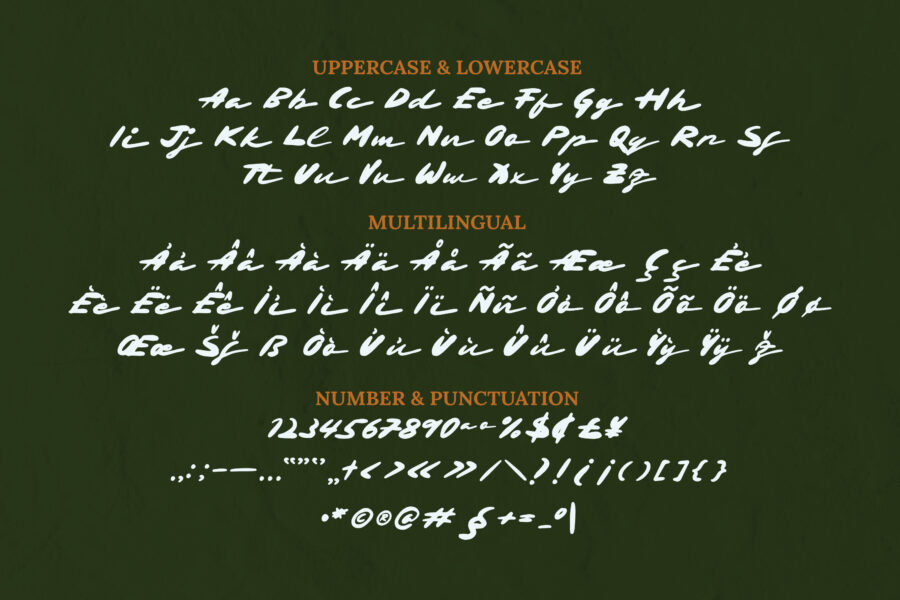 Parapavel - Image 5