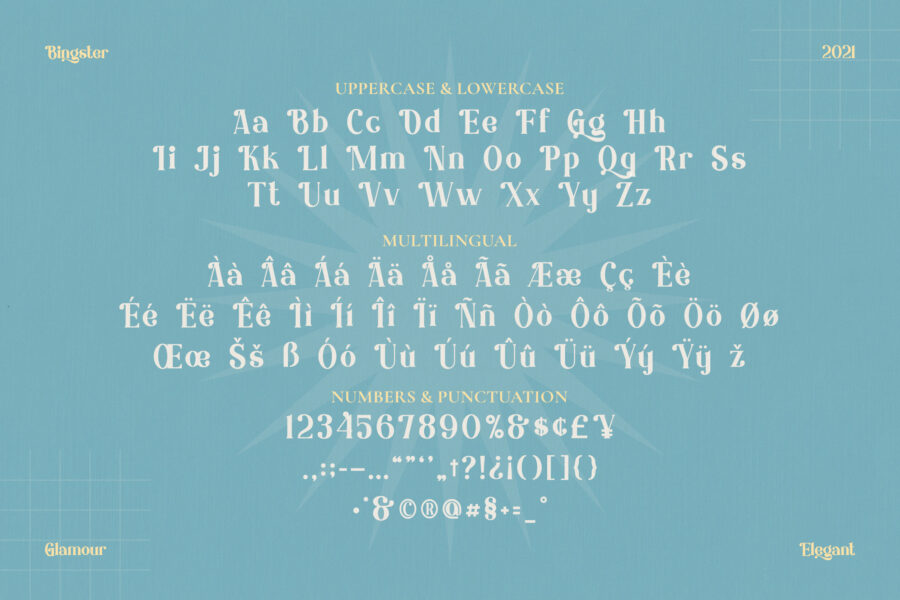 Bingster - Image 5