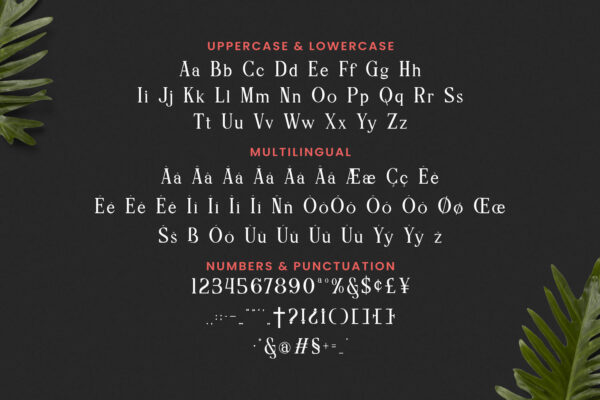 Reberry - Image 5