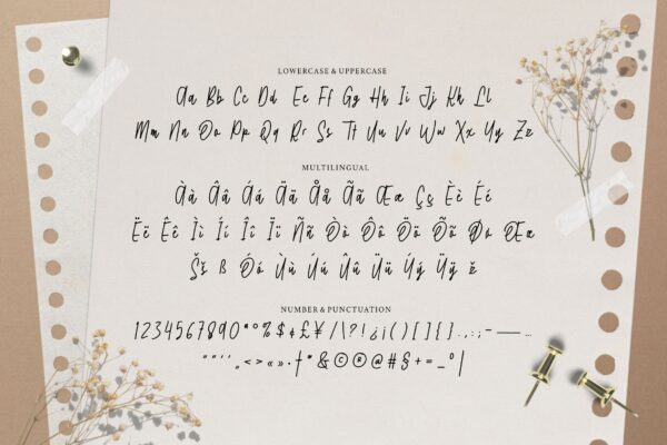 Gostend - Image 5