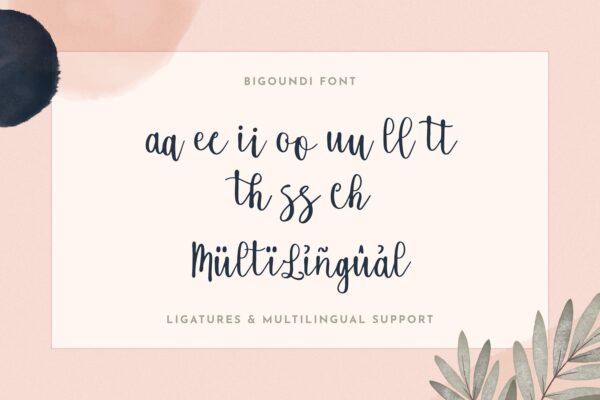Bigoundi - Image 6