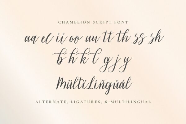 Chamelion - Image 6