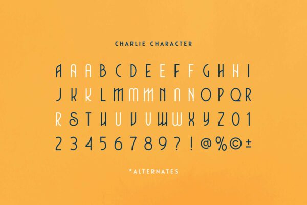 Charlie - Image 7