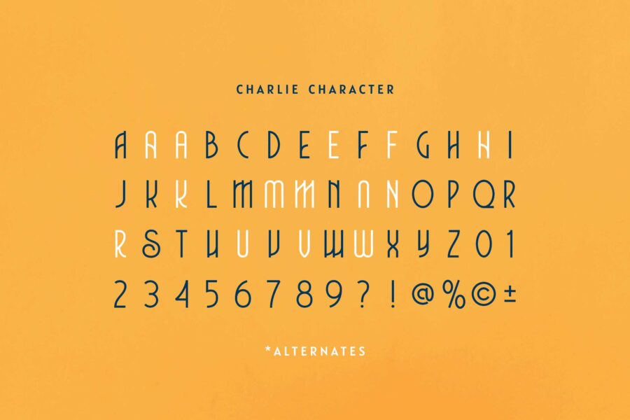 Charlie - Image 7