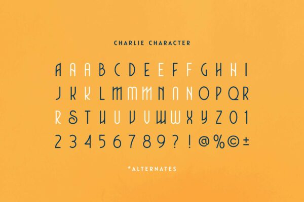 Charlie - Image 7