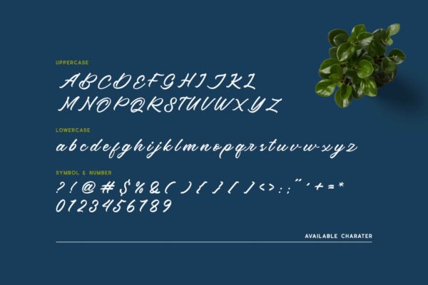 Beardcanye - Image 6