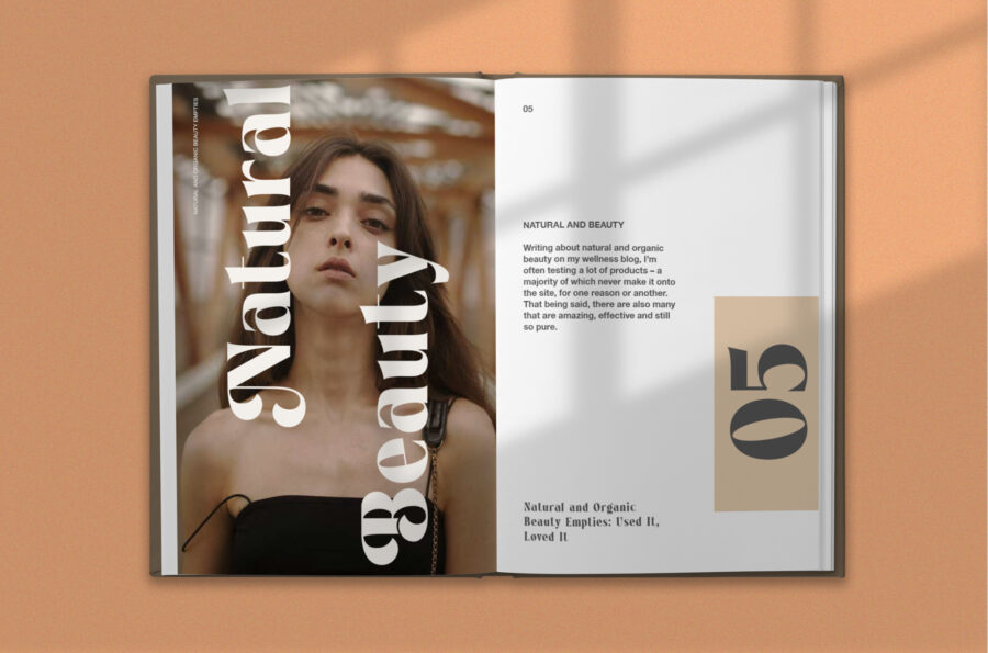 Regint - Image 7