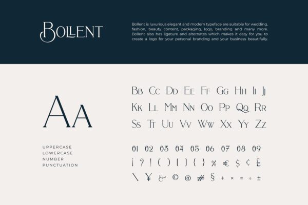 Bollent - Image 7