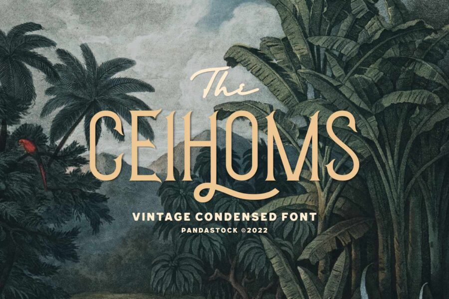 Ceihoms - Image 1