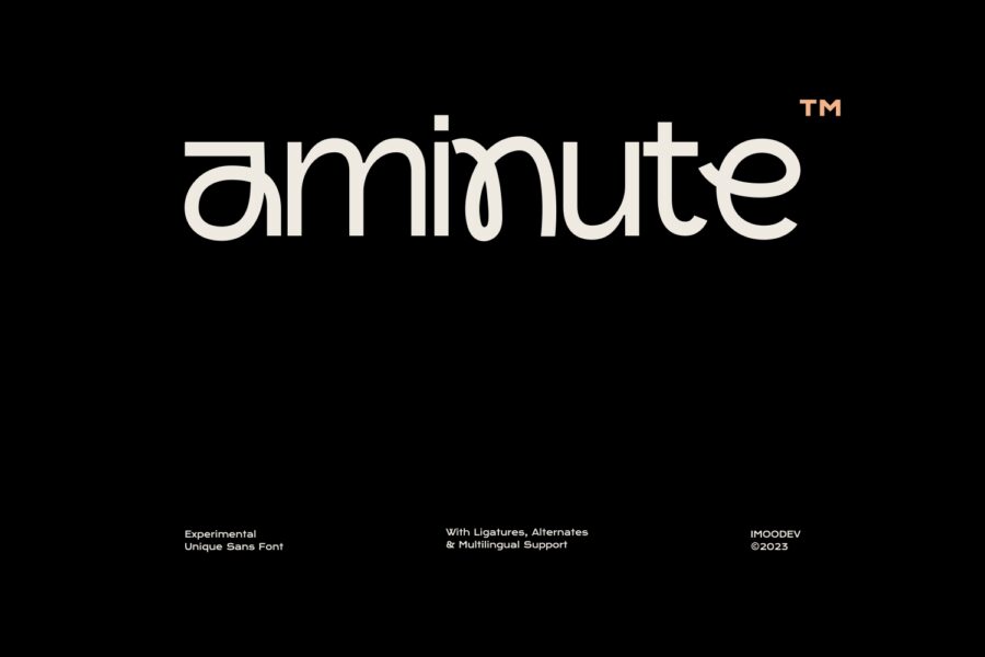 Aminute - Image 1