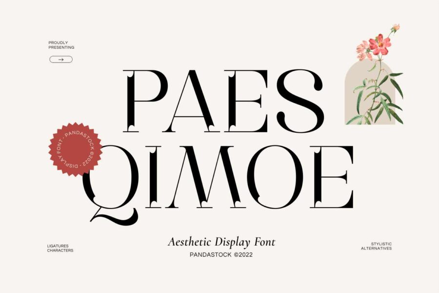 Paes Qimoe - Image 1