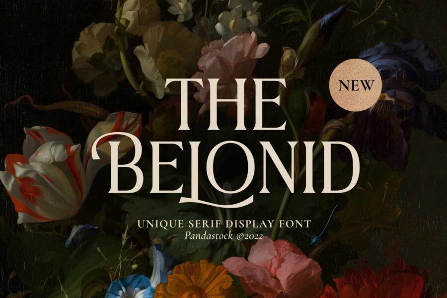 The Belonid - Image 1
