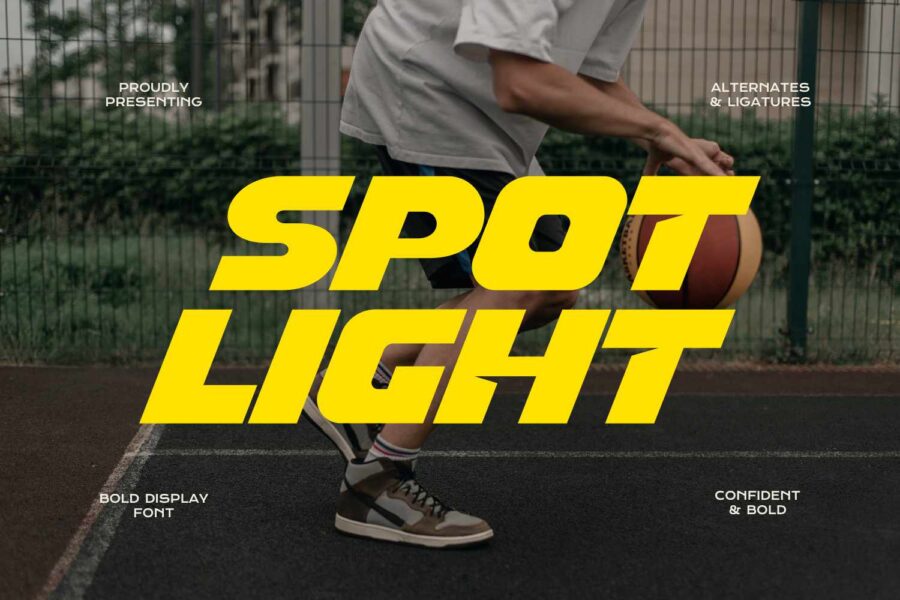 Spot Light - Image 1