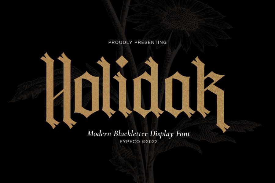 Holidak - Image 1