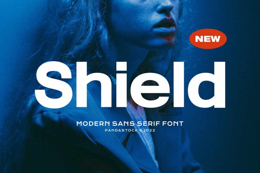 Shield - Image 1