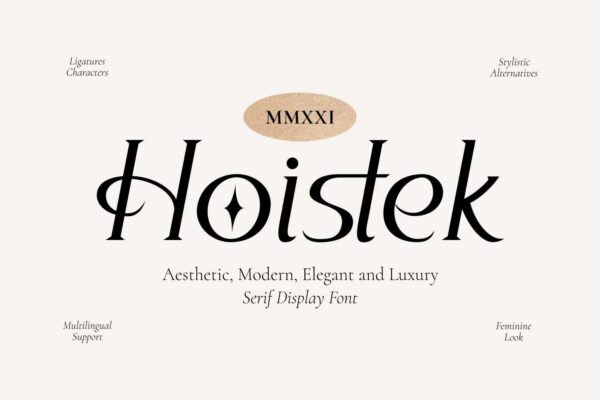 Hoistek