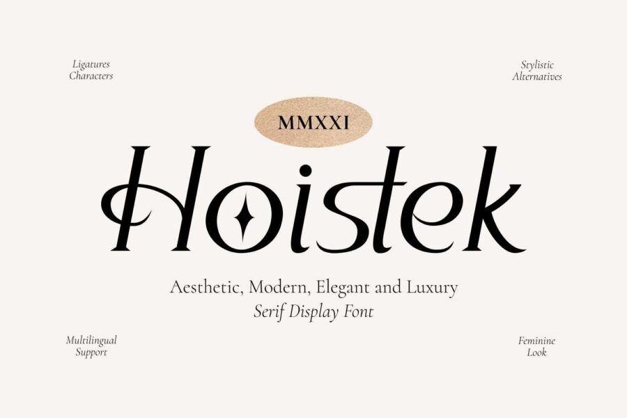 Hoistek - Image 1