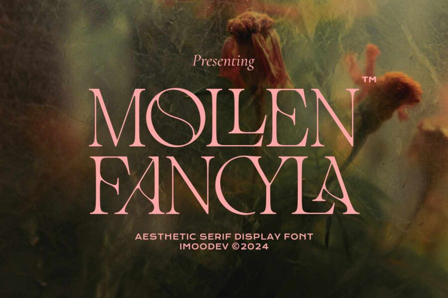 Mollen Fancyla - Image 1