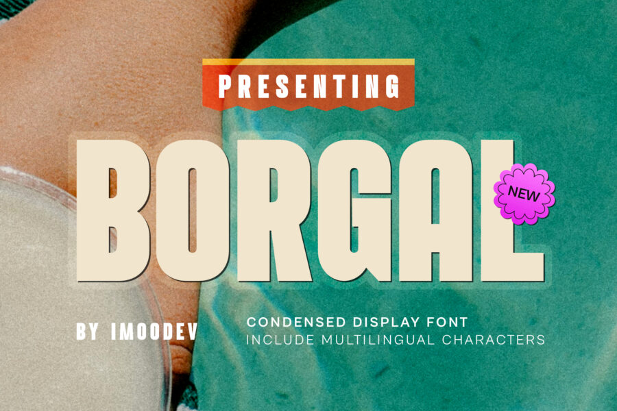 Borgal - Image 1