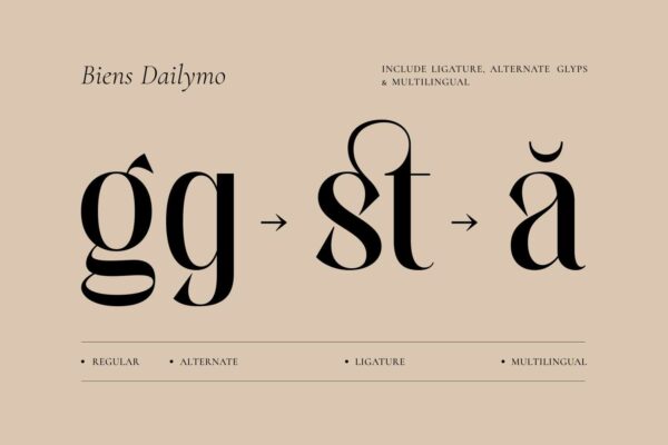 Biens Dailymo - Image 2