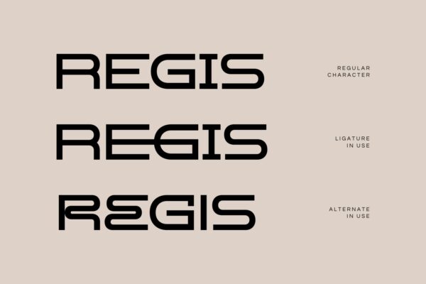 Digis Cosmo - Image 4