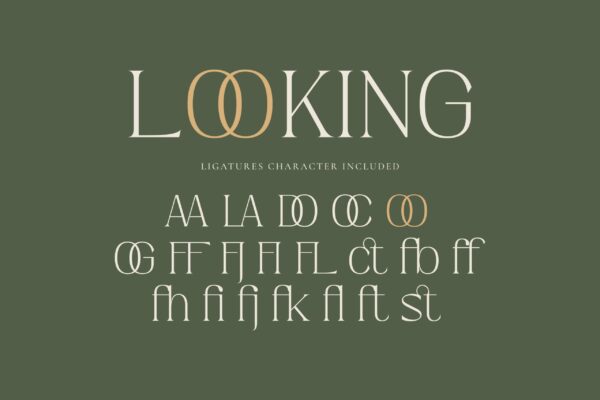 Hiden Certon - Image 3