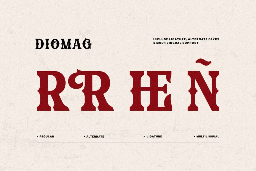 Diomag - Image 5