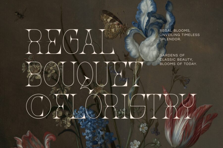 Quenic - Image 3