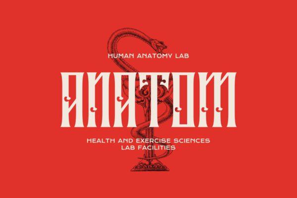Liberok - Image 3