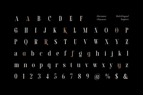 Biens Dailymo - Image 5