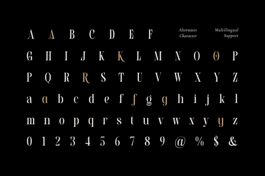 Biens Dailymo - Image 5