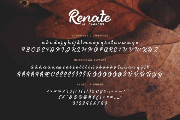 Renate - Image 6